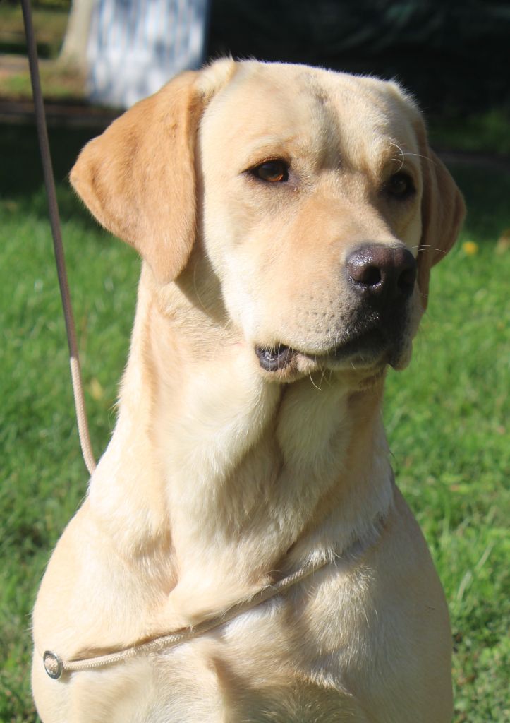 Renesmee de la Passe de l'Eider