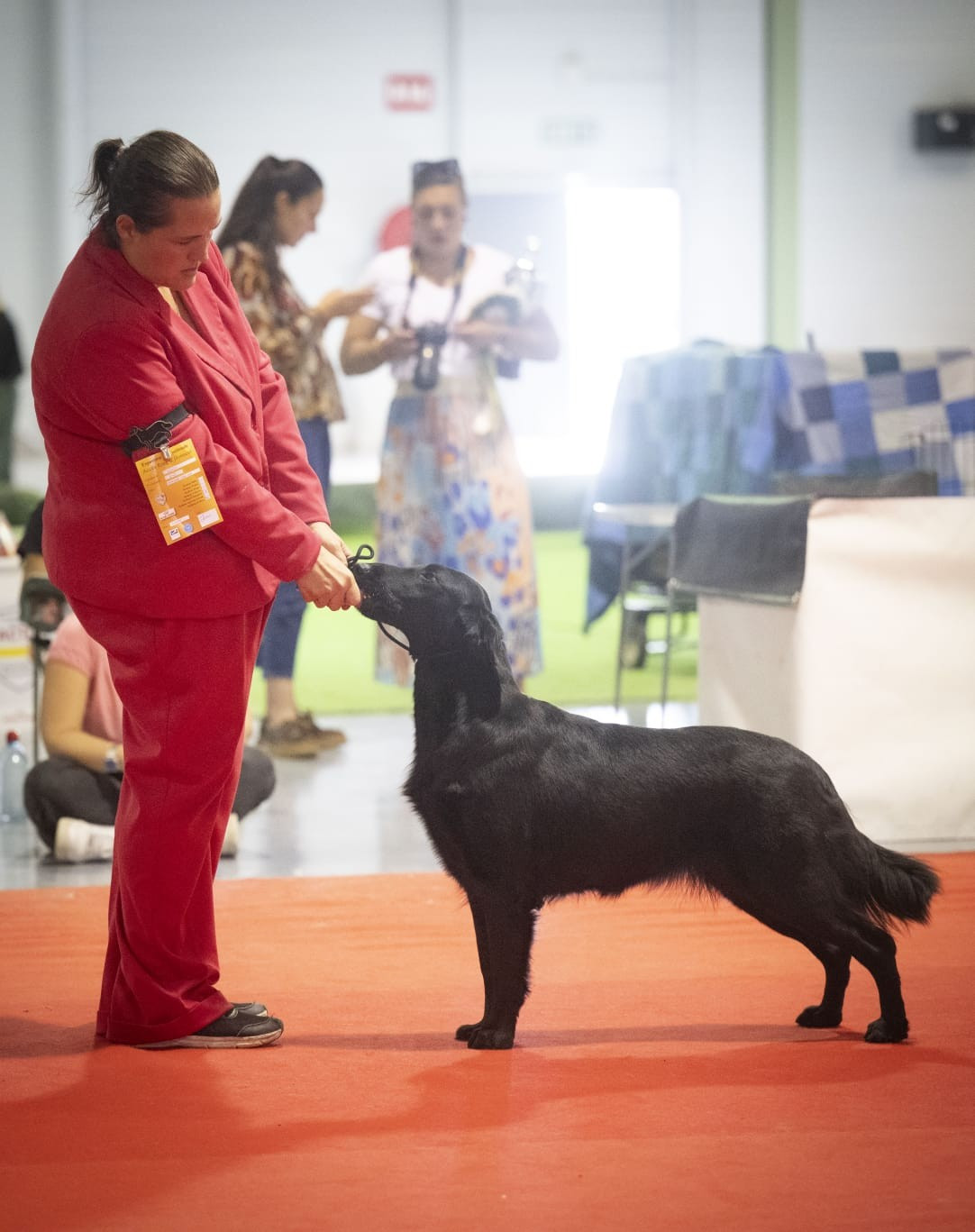 CH. TAHITI de la Passe de l'Eider