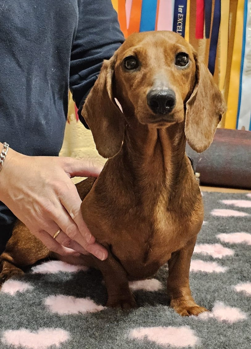 UKITA de la Passe de l'Eider